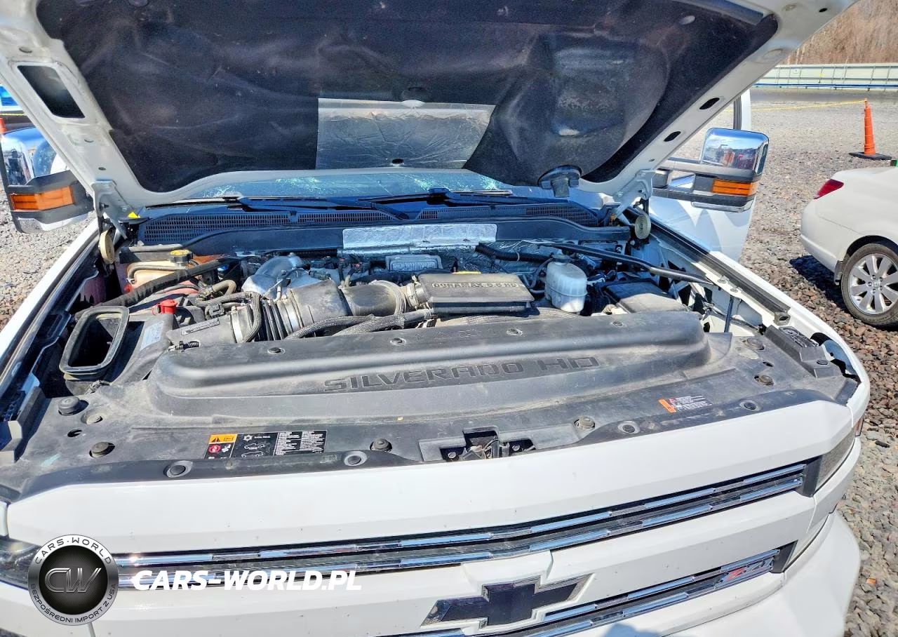 2018 Chevrolet Silverado K2500 Heavy Duty Ltz VIN:1GC1KWEY1JF199252 - 11