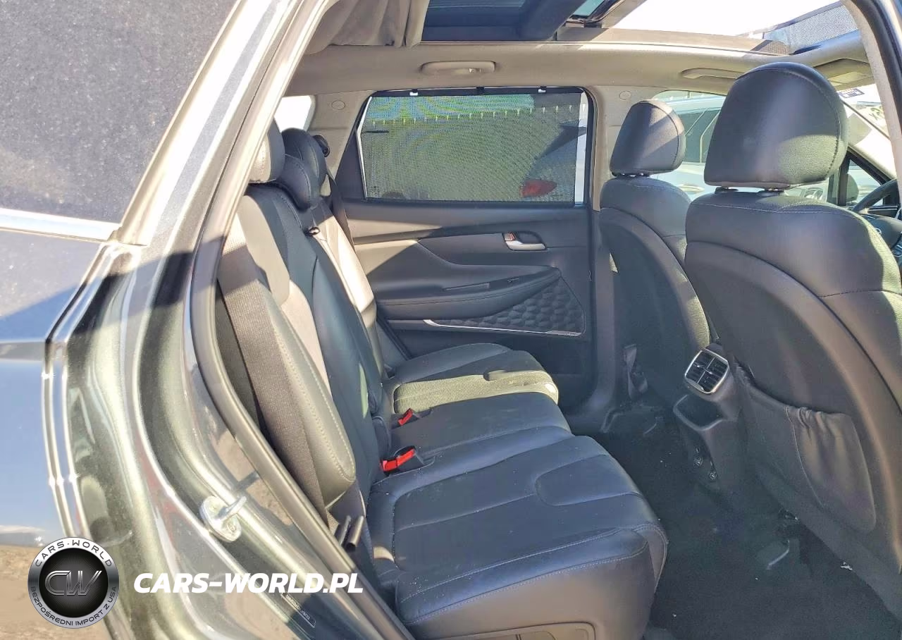 2020 Hyundai Santa Fe VIN:5NMS33AD7LH184201 - 11