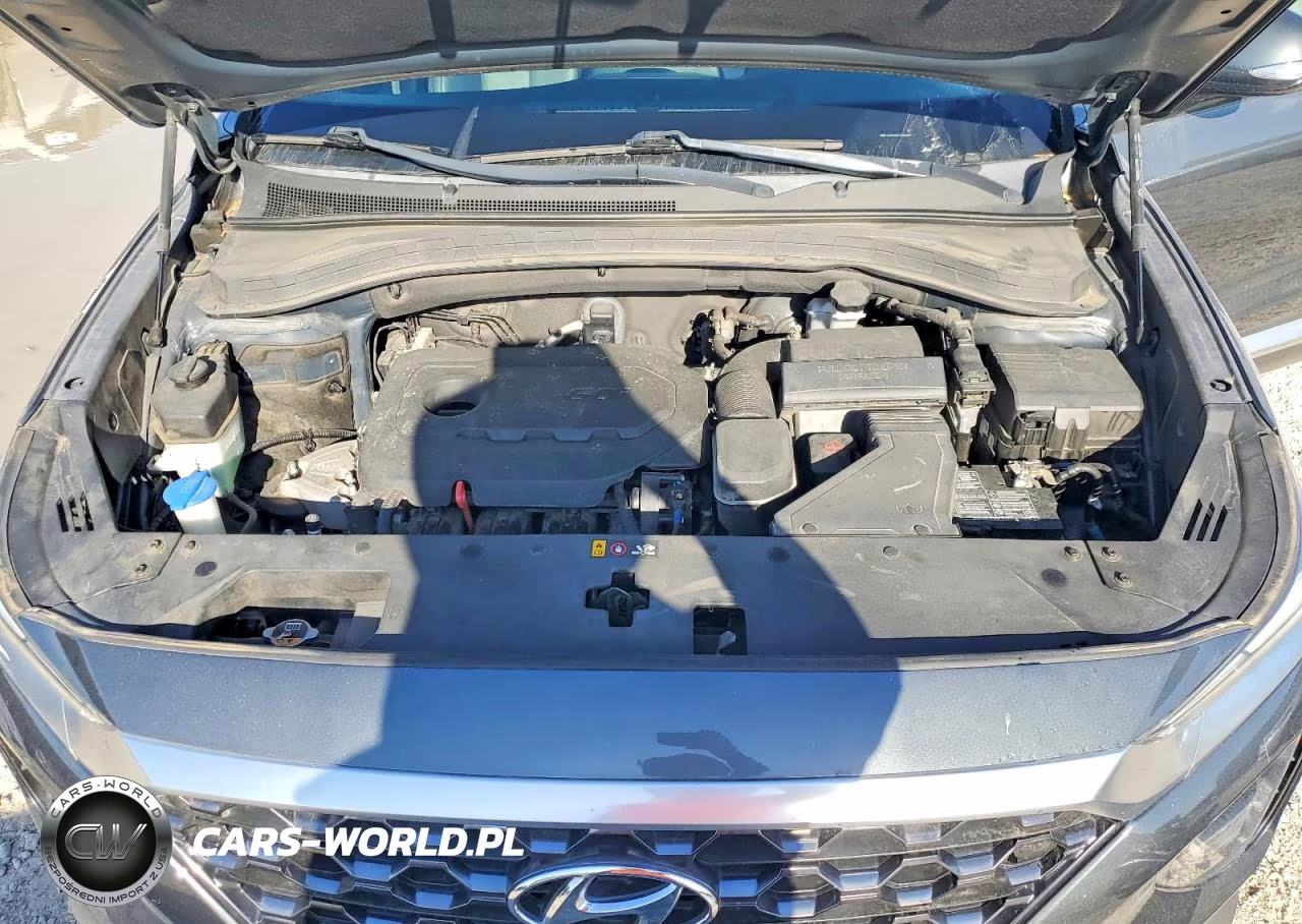 2020 Hyundai Santa Fe VIN:5NMS33AD7LH184201 - 12