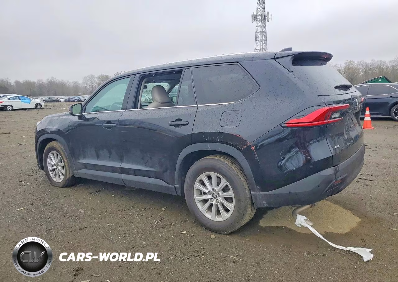 2024 Toyota Grand Highlander Xle VIN:5TDAAAB58RS015971 - 2