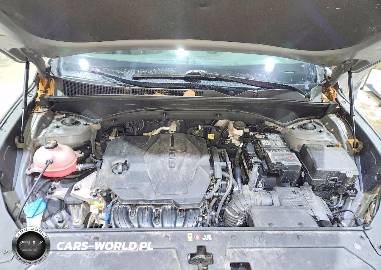2021 Hyundai Santa Fe Sel VIN:5NMS3DAJ4MH364135 - 12