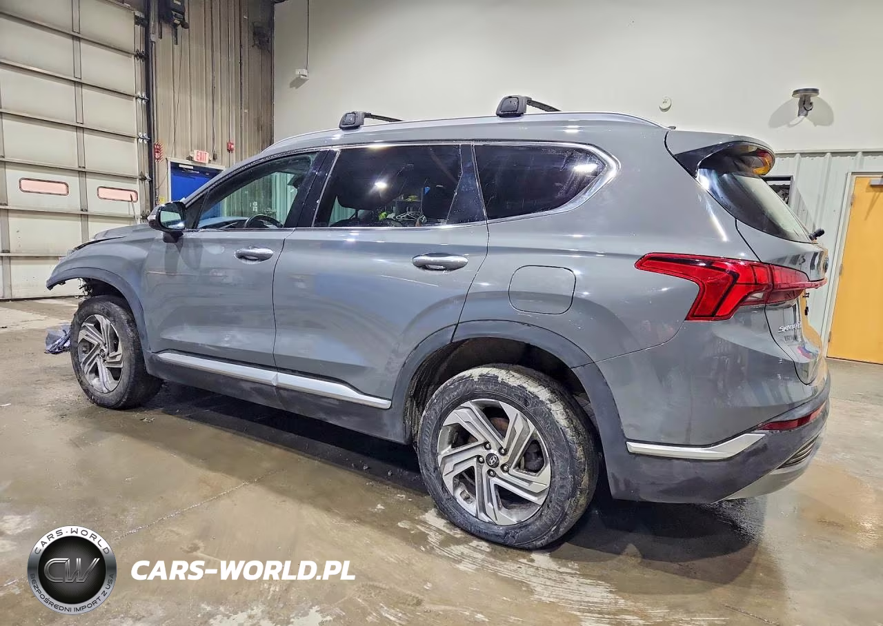 2021 Hyundai Santa Fe Sel VIN:5NMS3DAJ4MH364135 - 2