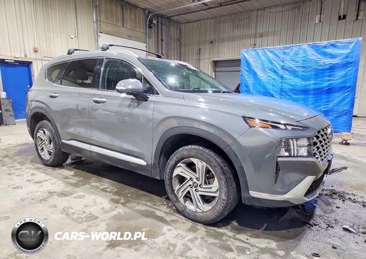2021 Hyundai Santa Fe Sel VIN:5NMS3DAJ4MH364135 - 4