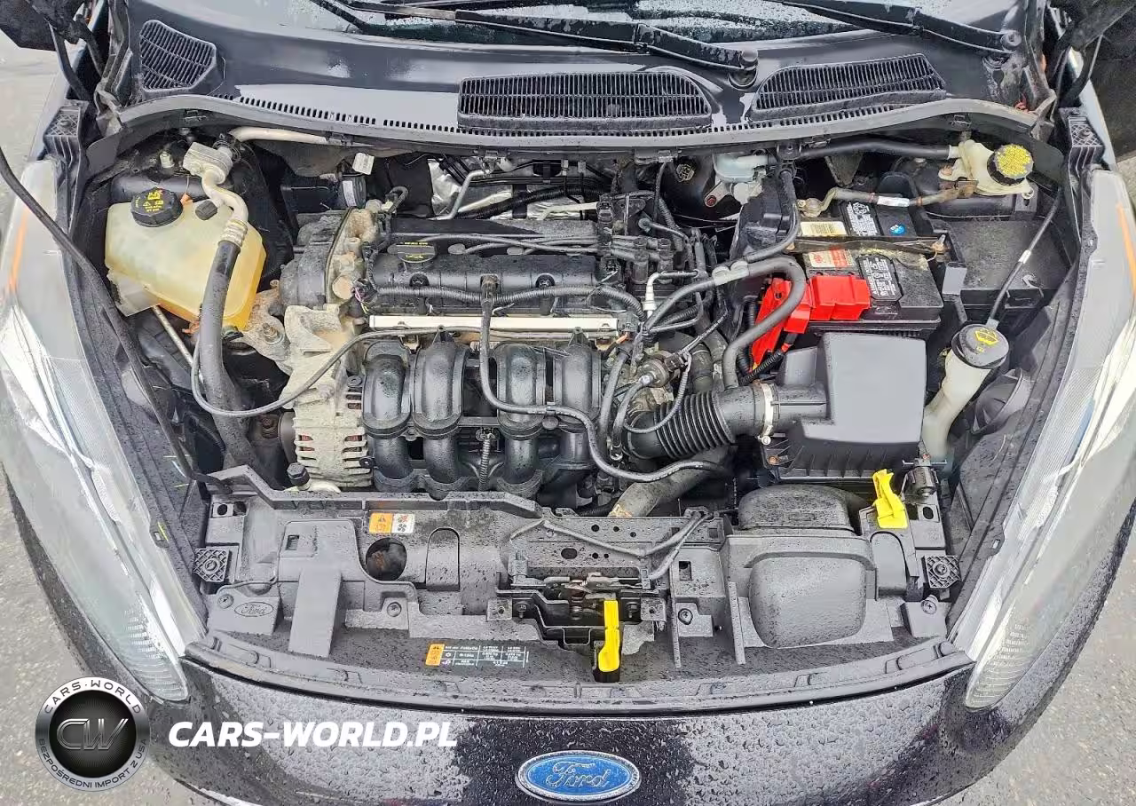 2015 Ford Fiesta Se VIN:3FADP4BJ4FM160114 - 11