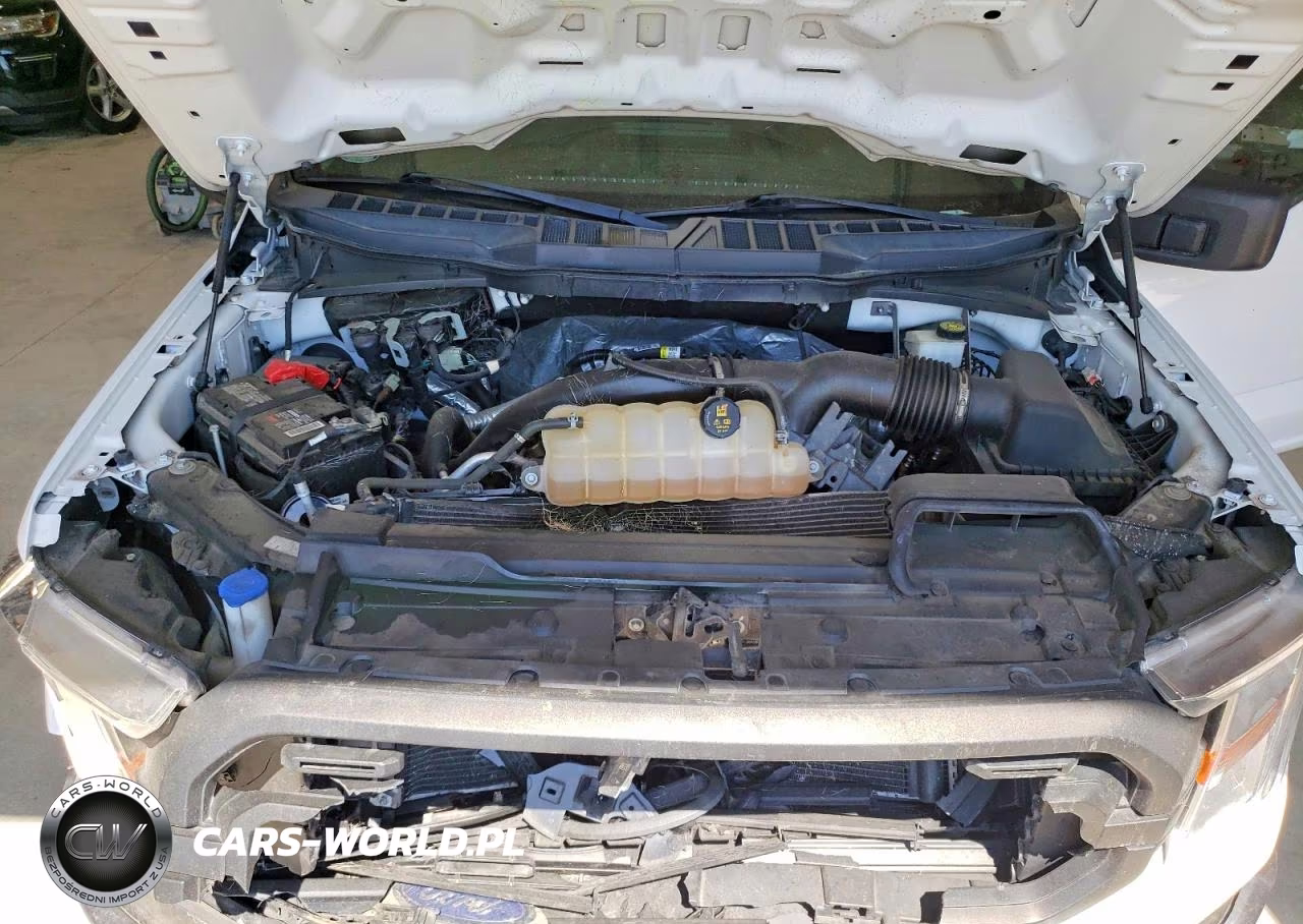 2021 Ford F150 VIN:1FTMF1CP3MKE66045 - 11