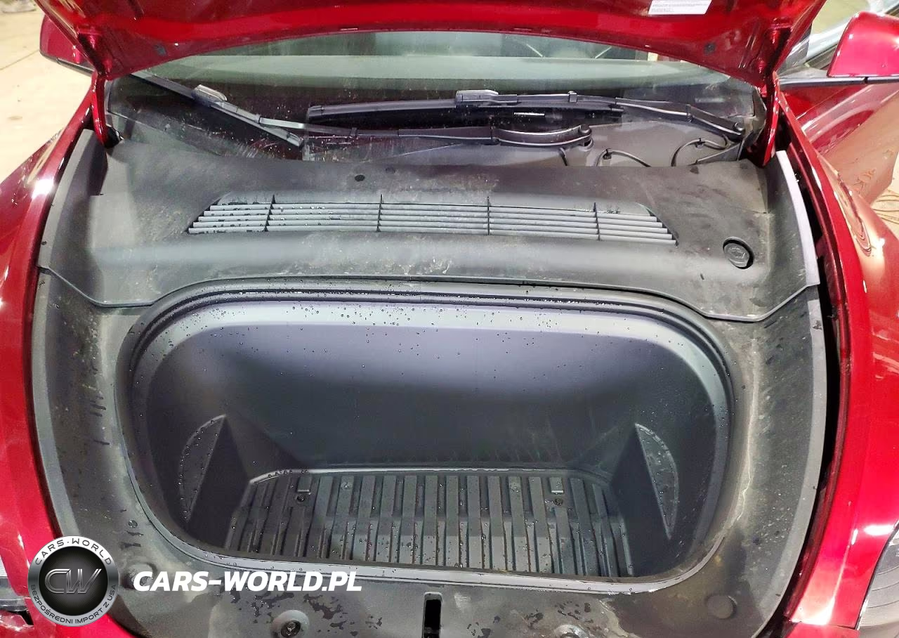2024 Tesla Model Y VIN:7SAYGDEE0RA283296 - 12