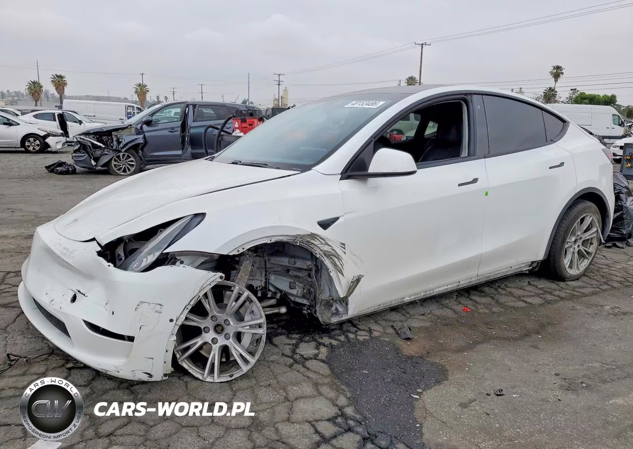 2020 Tesla Model Y