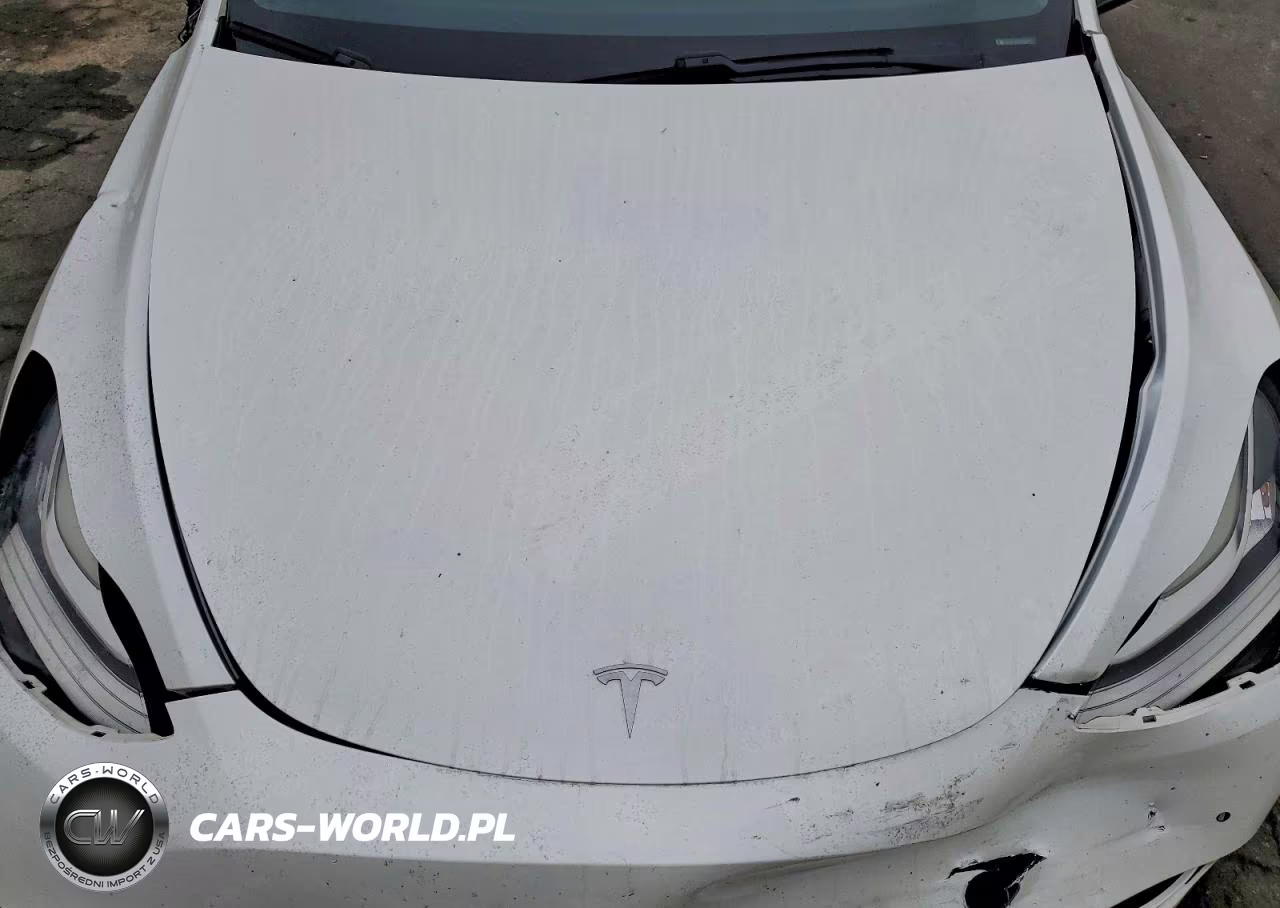 2020 Tesla Model Y VIN:5YJYGDEE6LF052619 - 11