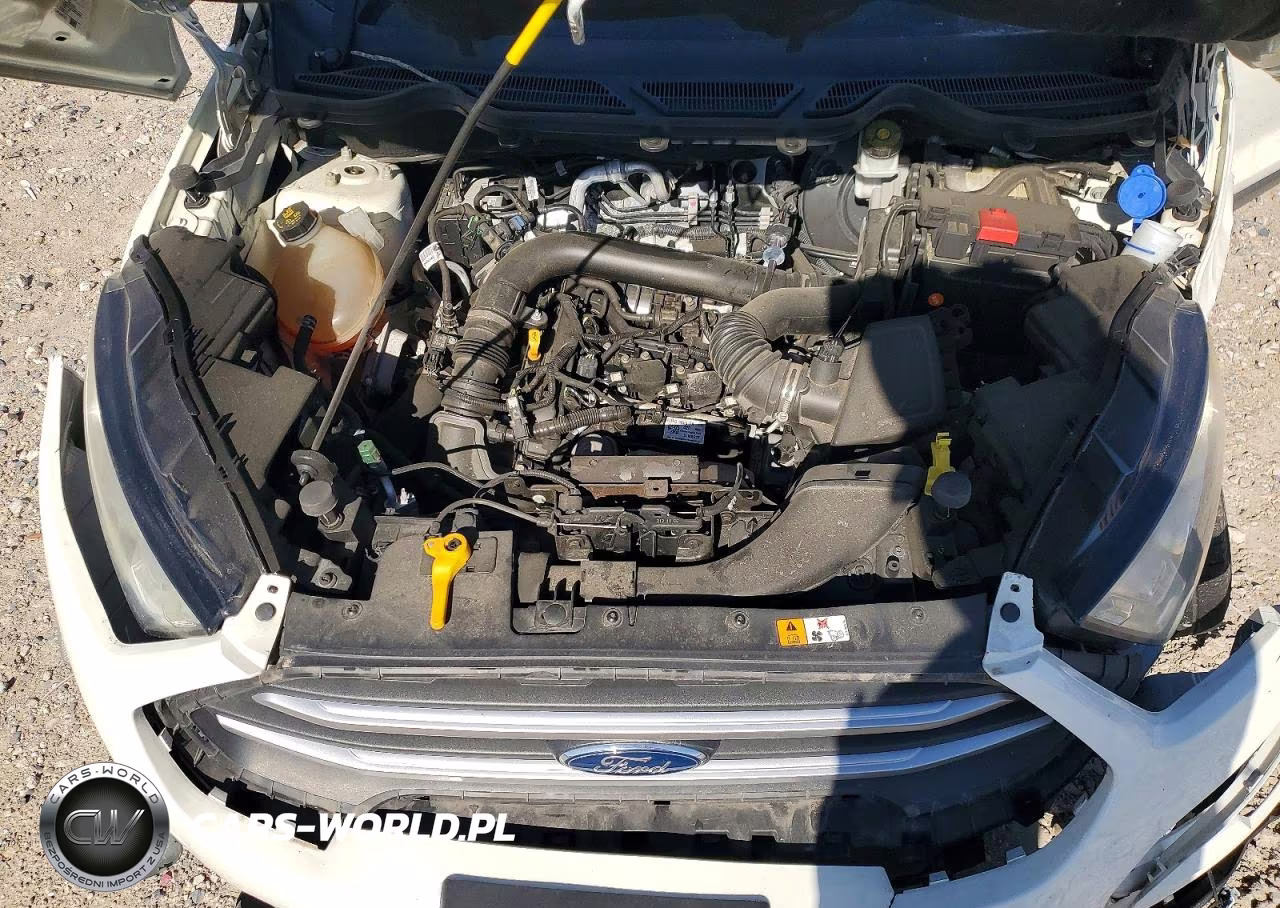 2020 Ford Ecosport Se VIN:MAJ3S2GE2LC330526 - 12