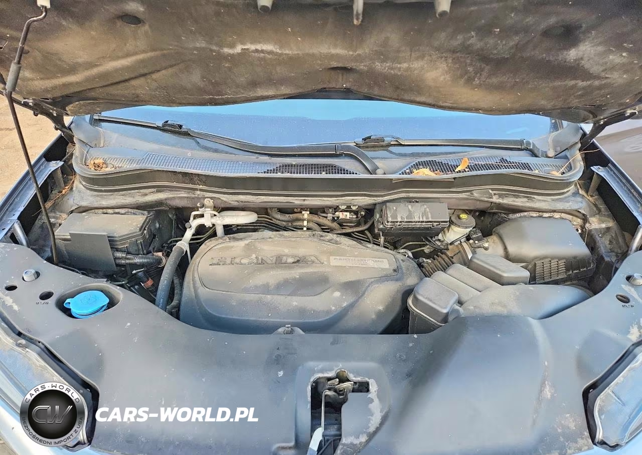 2019 Honda Pilot Exl VIN:5FNYF6H51KB093541 - 12