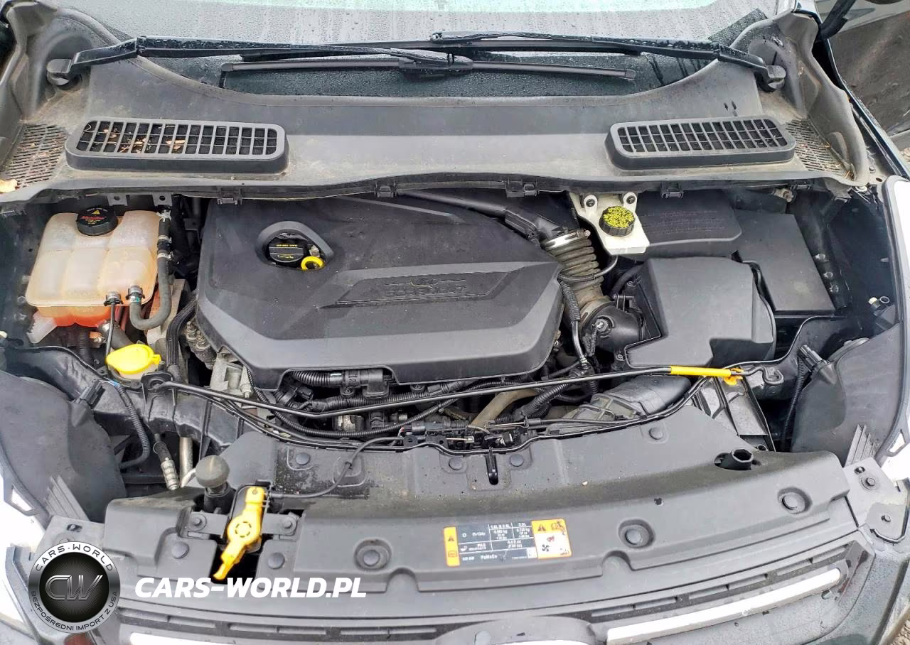2014 Ford Escape Se VIN:1FMCU0GX1EUB05209 - 12