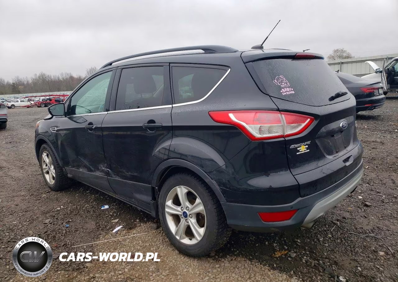 2014 Ford Escape Se VIN:1FMCU0GX1EUB05209 - 2