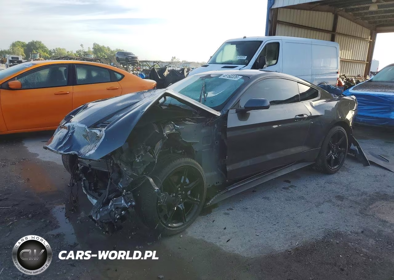 2019 Ford Mustang