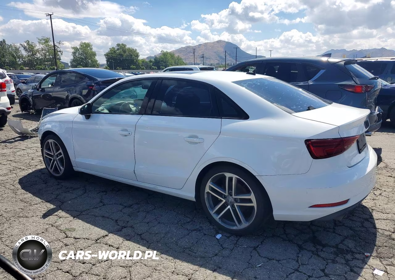 2019 Audi A3 Premium VIN:WAUAUGFF9KA109791 - 2