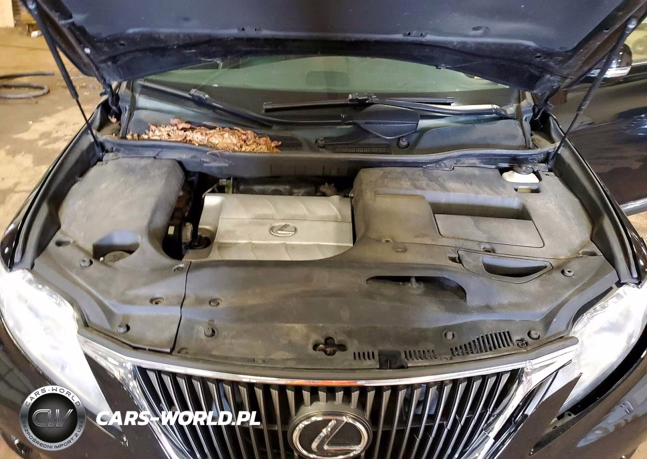 2011 Lexus Rx 350 Base VIN:2T2BK1BA7BC104018 - 12