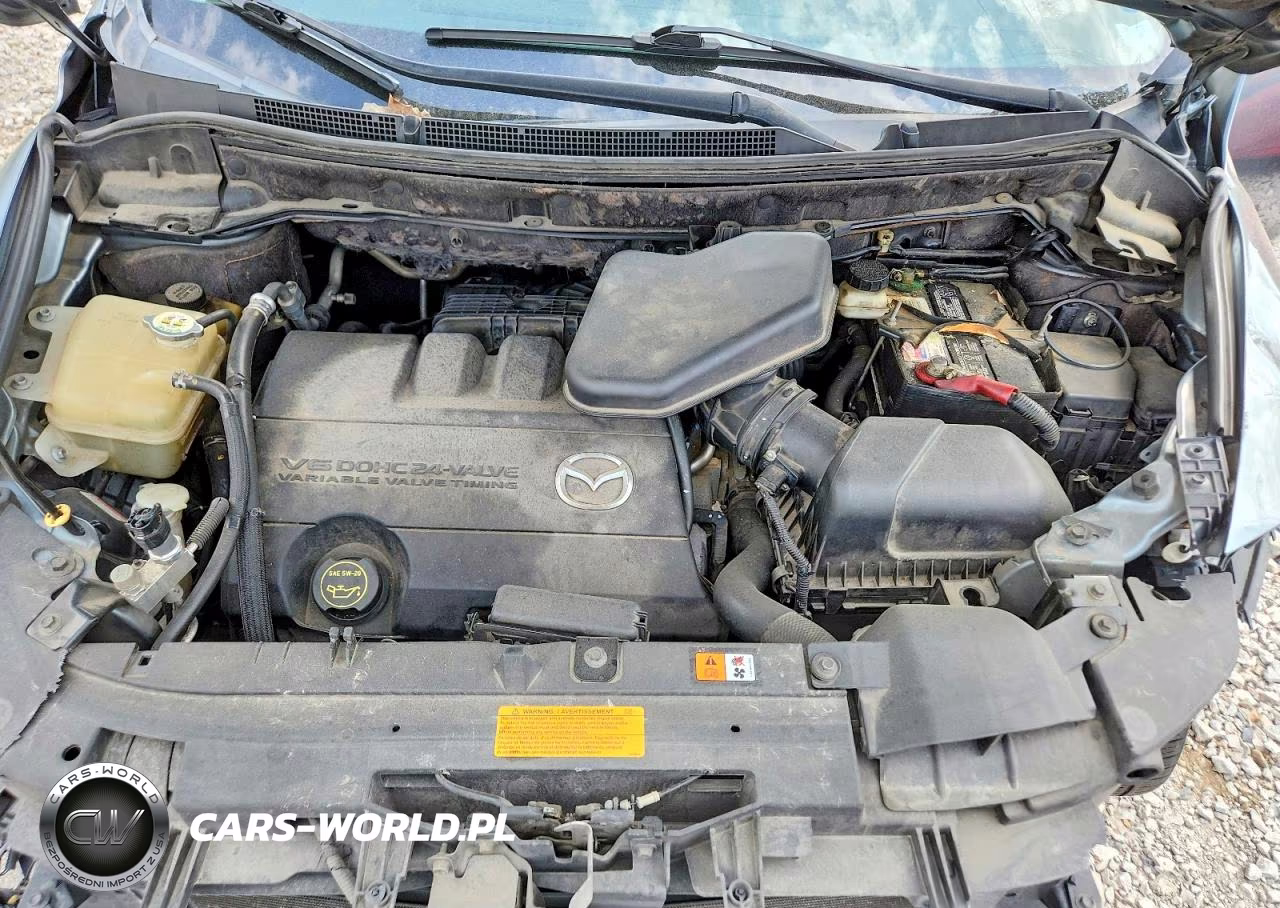 2010 Mazda Cx-9 VIN:JM3TB2MA2A0222778 - 12
