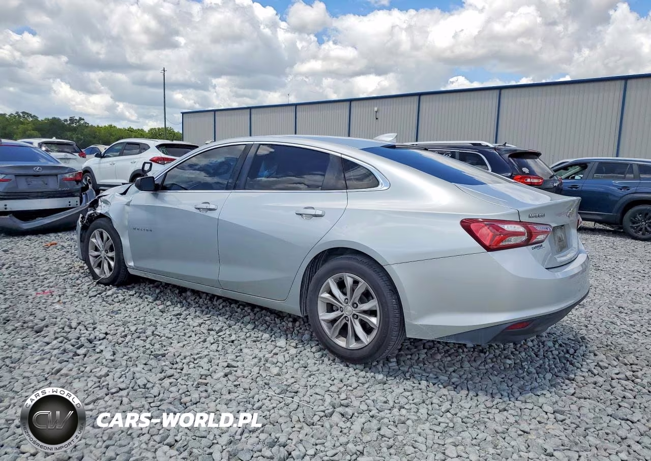 2019 Chevrolet Malibu Lt VIN:1G1ZD5ST4KF159001 - 2