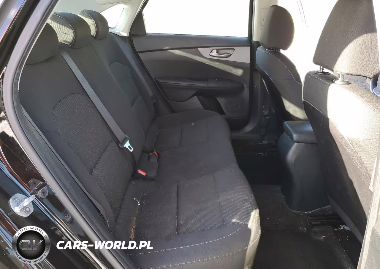 2019 Kia Forte Fe VIN:3KPF24AD1KE093067 - 10