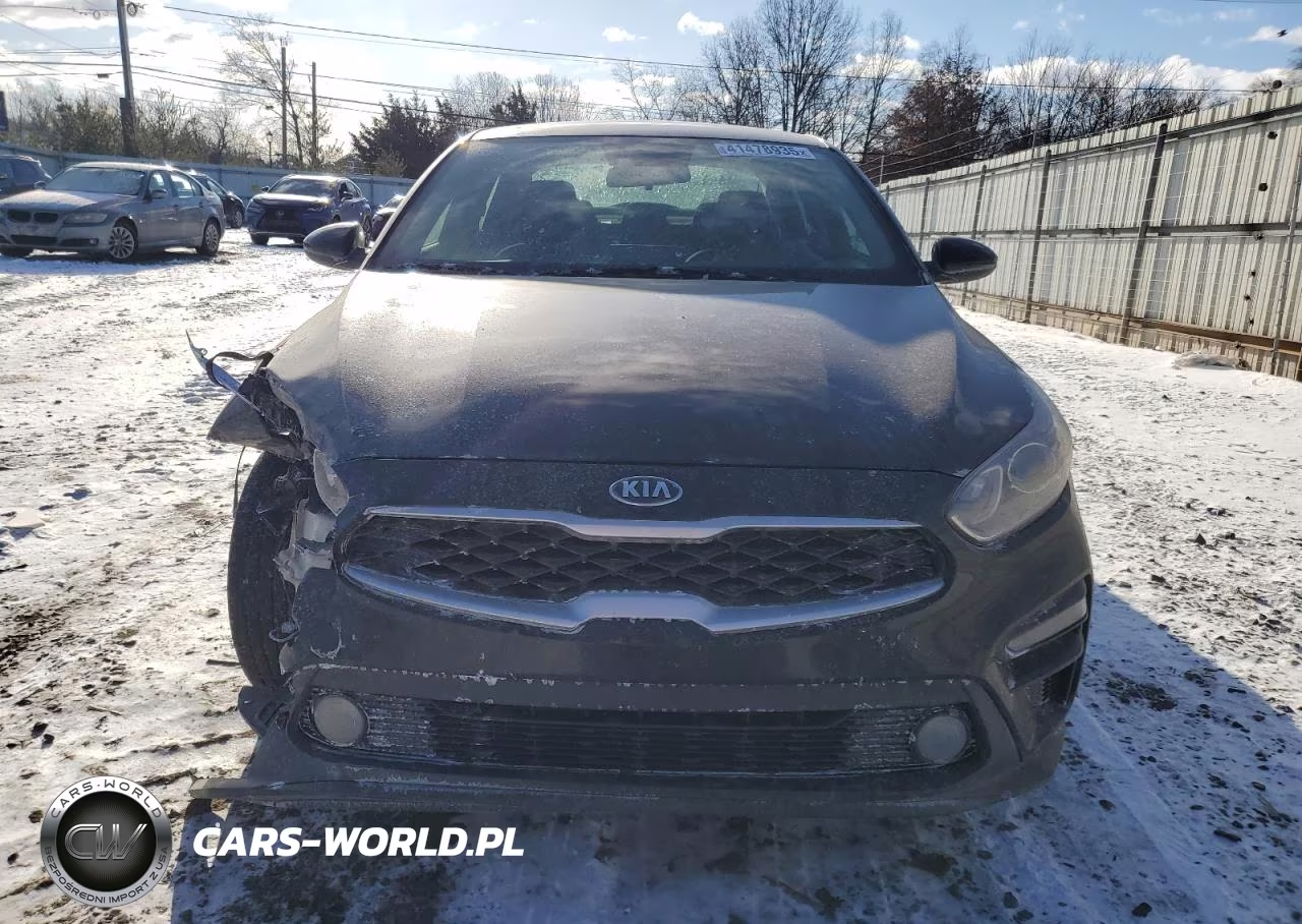 2019 Kia Forte Fe VIN:3KPF24AD1KE093067 - 5