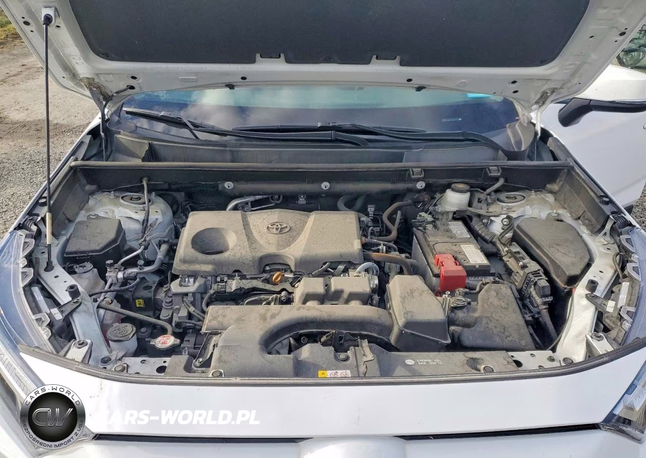 2022 Toyota Rav4 Xle VIN:2T3P1RFV2NW268294 - 12
