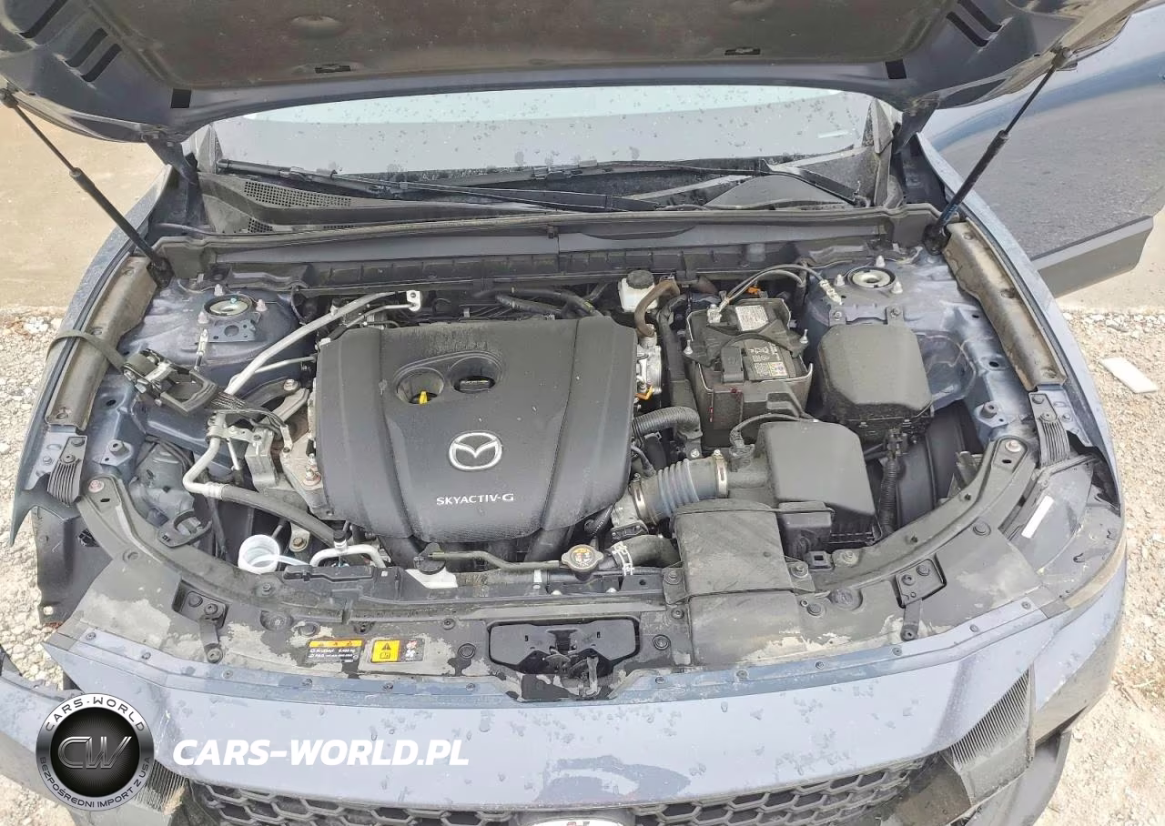 2024 Mazda Cx-50 Premium VIN:7MMVABDMXRN197142 - 12