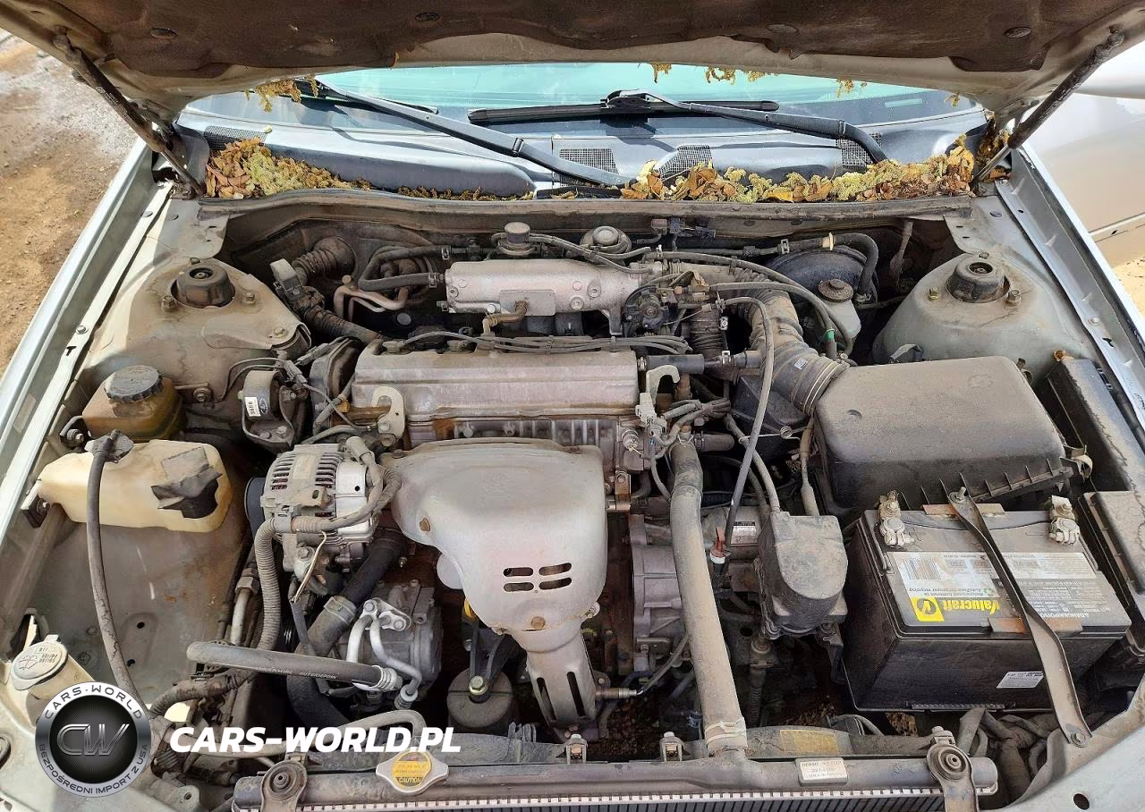 2000 Toyota Camry Le VIN:JT2BG22K6Y0529584 - 11