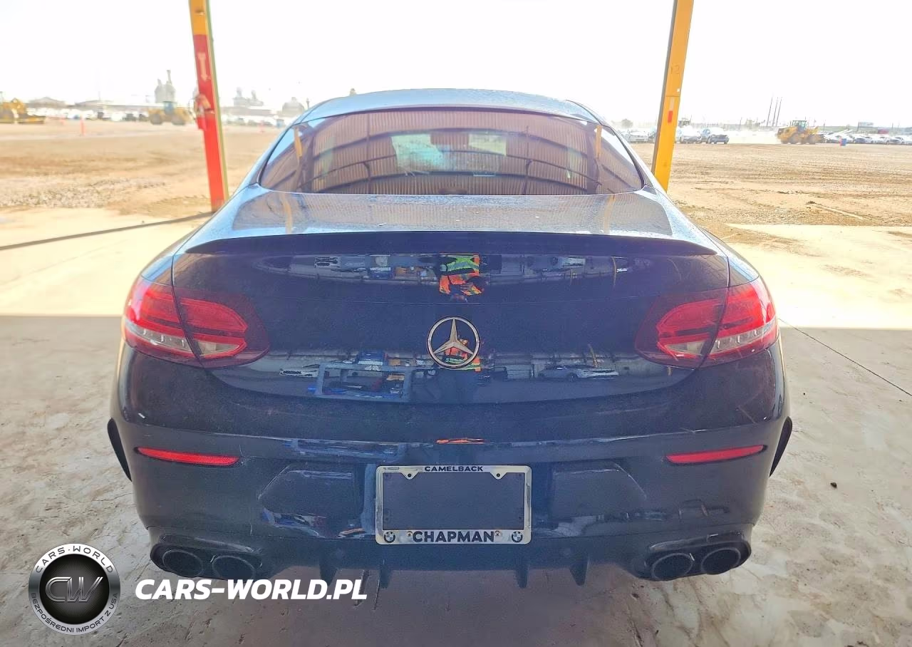 2019 Mercedes-Benz C 43 Amg VIN:WDDWJ6EB6KF818293 - 6