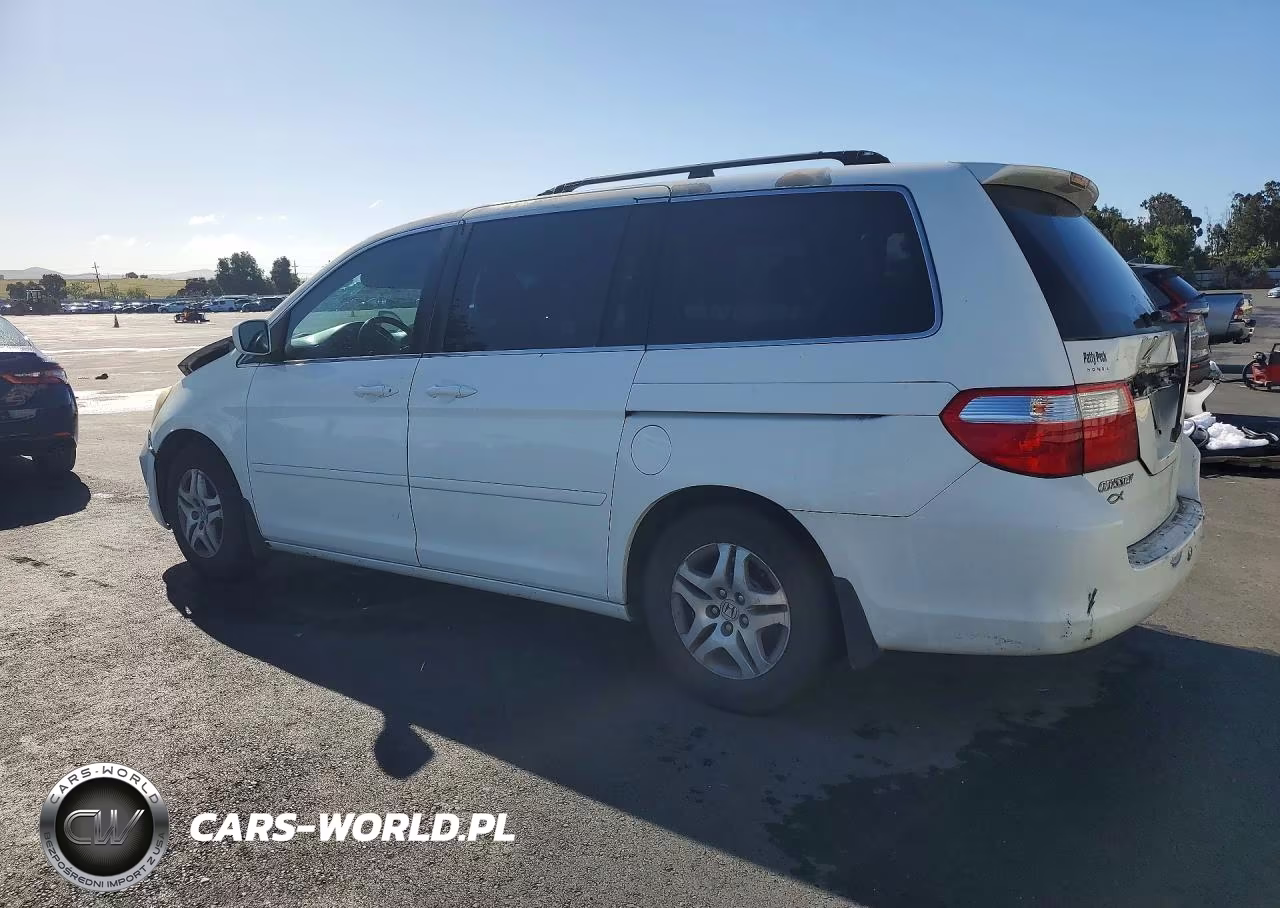 2006 Honda Odyssey Exl VIN:5FNRL387X6B040954 - 2