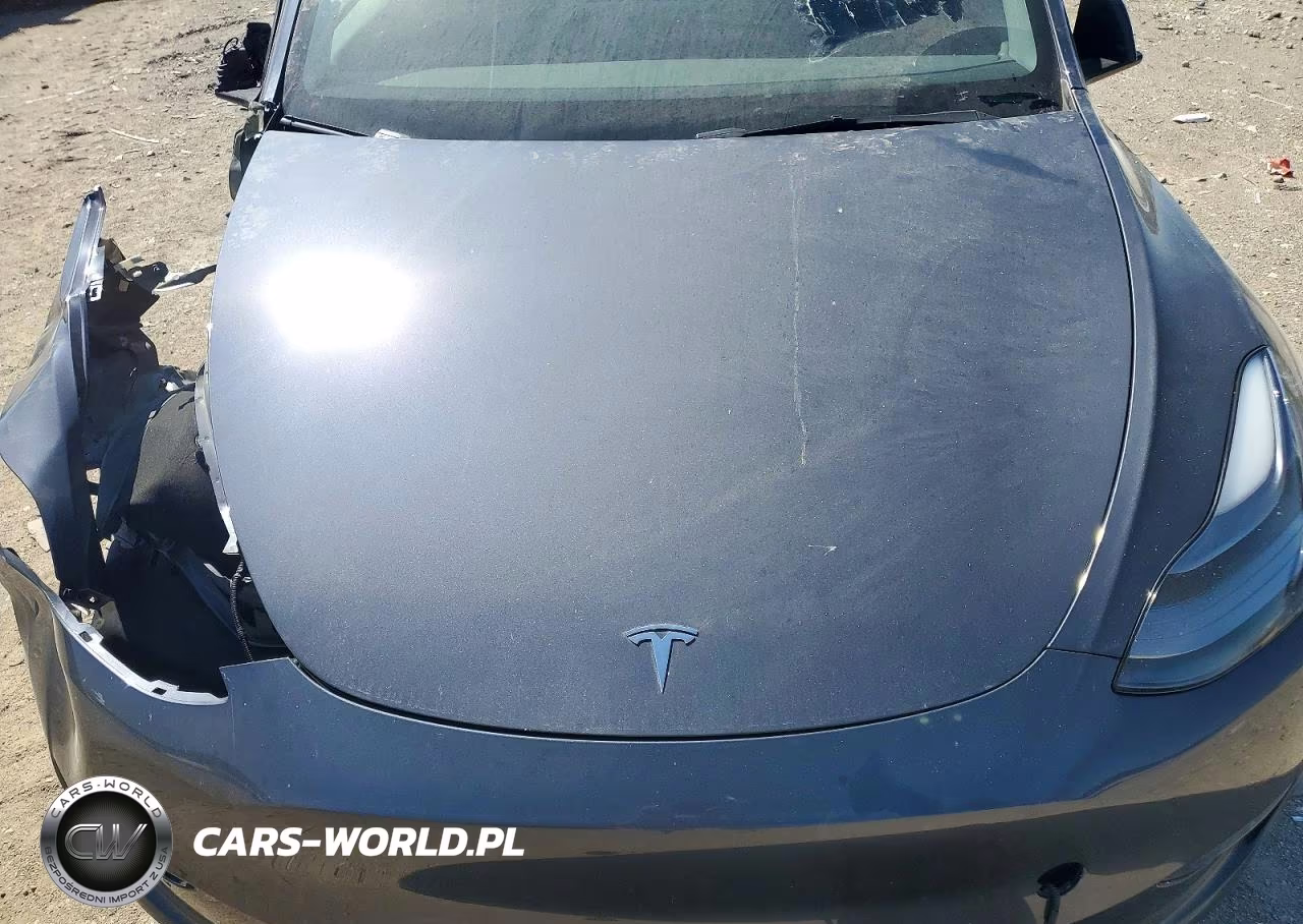 2023 Tesla Model Y VIN:7SAYGDEE2PF608840 - 11