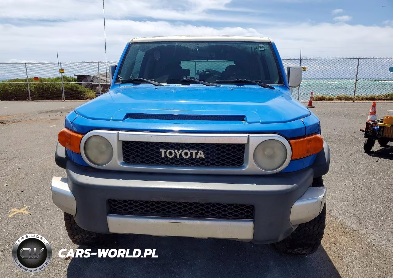 2007 Toyota Fj Cruiser Base VIN:JTEZU11F570007133 - 5