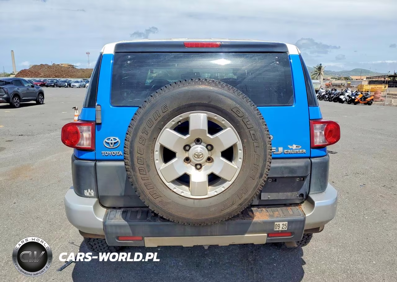 2007 Toyota Fj Cruiser Base VIN:JTEZU11F570007133 - 6