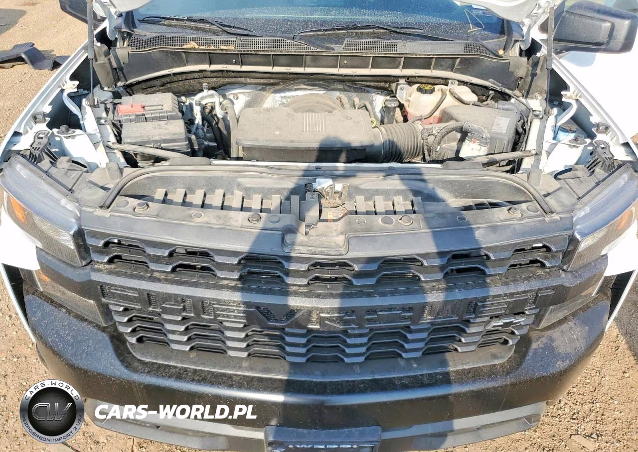 2020 Chevrolet Silverado C1500 VIN:3GCNWAEH9LG213120 - 11
