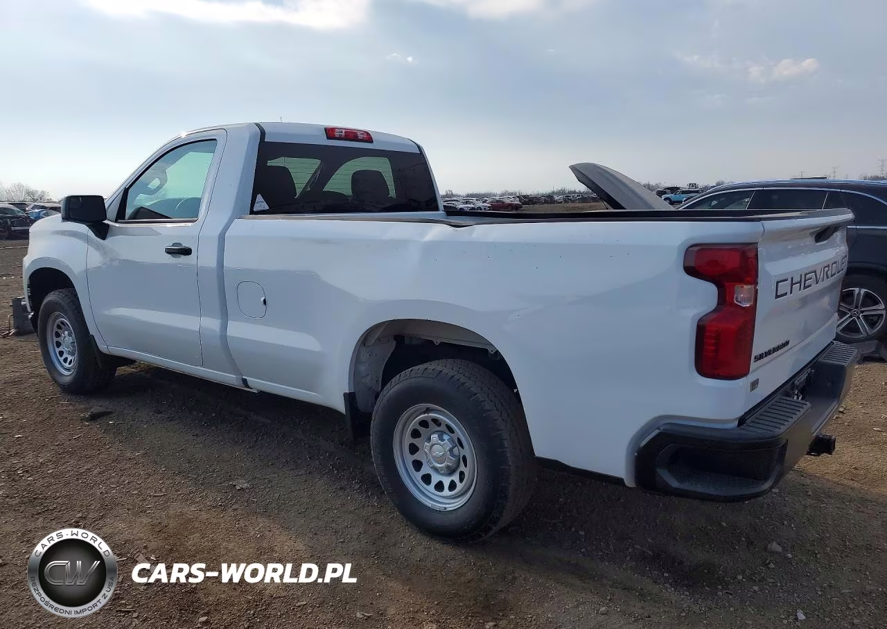2020 Chevrolet Silverado C1500 VIN:3GCNWAEH9LG213120 - 2