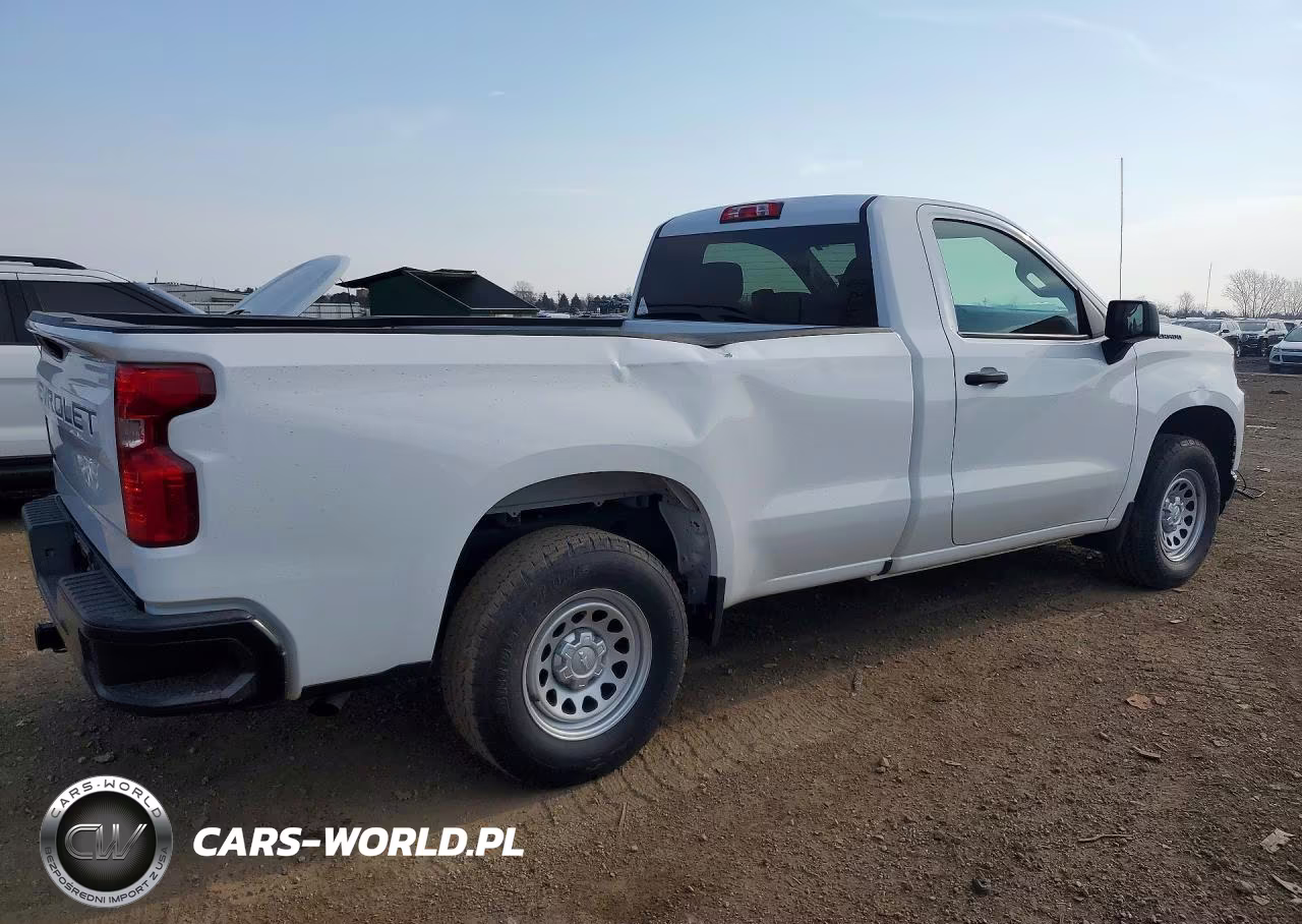 2020 Chevrolet Silverado C1500 VIN:3GCNWAEH9LG213120 - 3