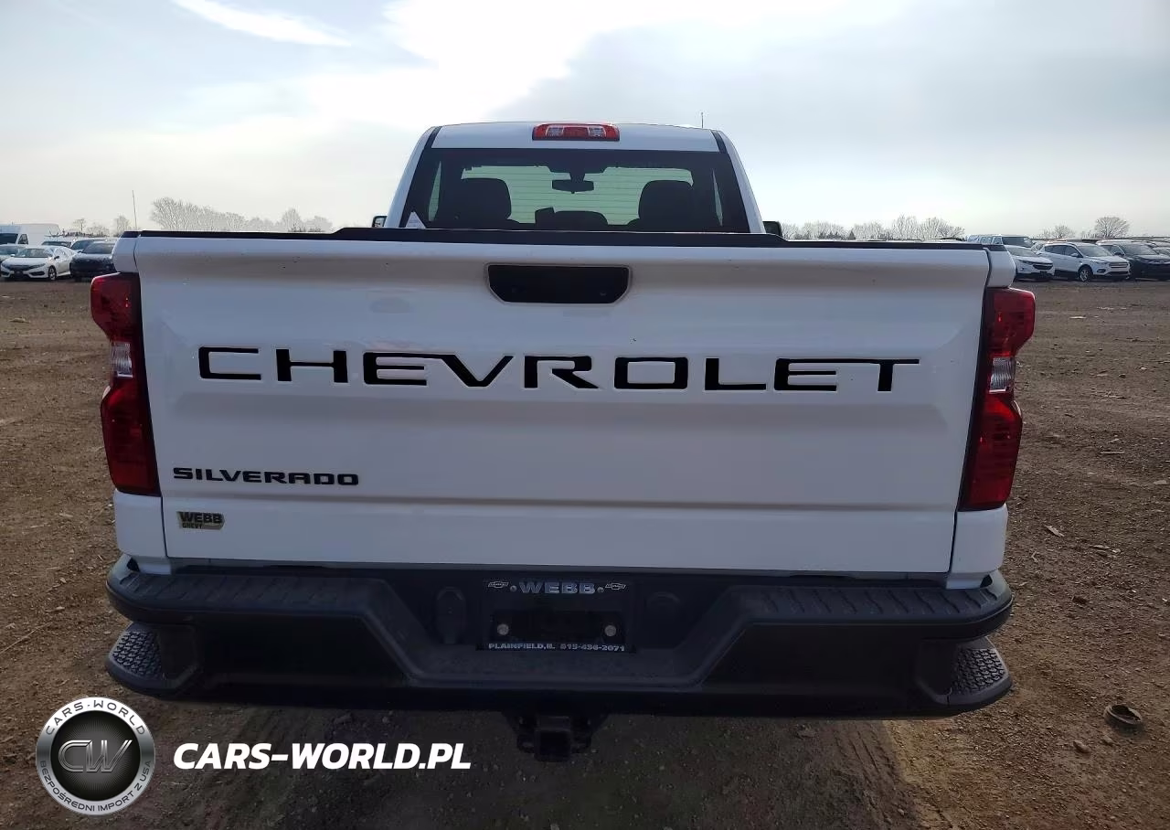 2020 Chevrolet Silverado C1500 VIN:3GCNWAEH9LG213120 - 6