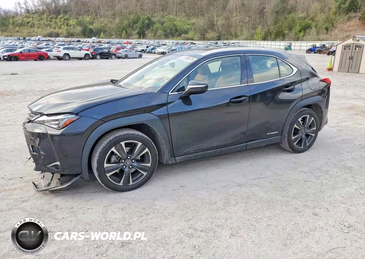 2020 Lexus Ux 250H Base