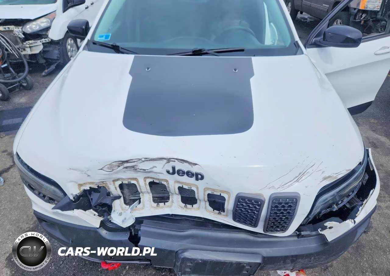 2022 Jeep Cherokee Trailhawk VIN:1C4PJMBX0ND517554 - 12