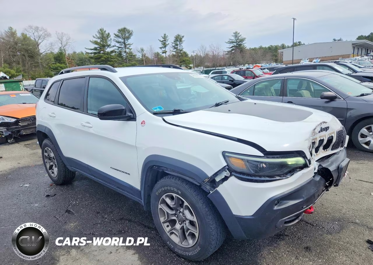 2022 Jeep Cherokee Trailhawk VIN:1C4PJMBX0ND517554 - 4