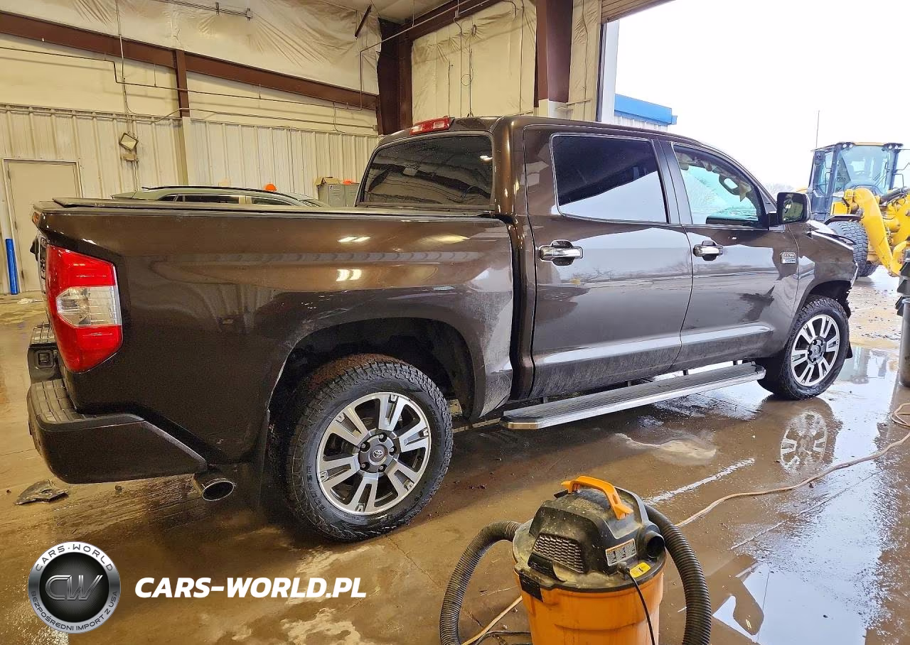 2019 Toyota Tundra 1794 Edition VIN:5TFAY5F10KX815691 - 3