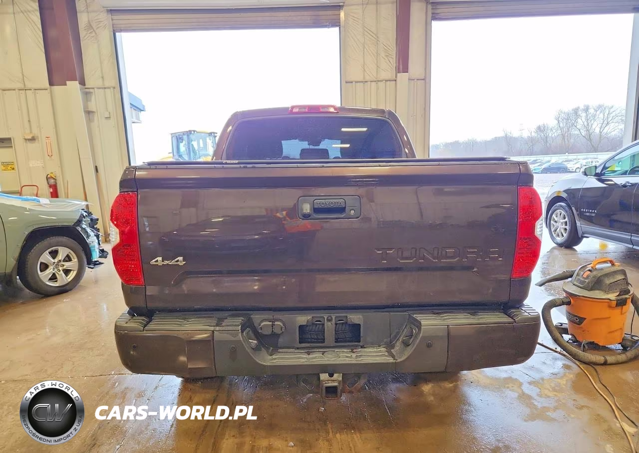 2019 Toyota Tundra 1794 Edition VIN:5TFAY5F10KX815691 - 6