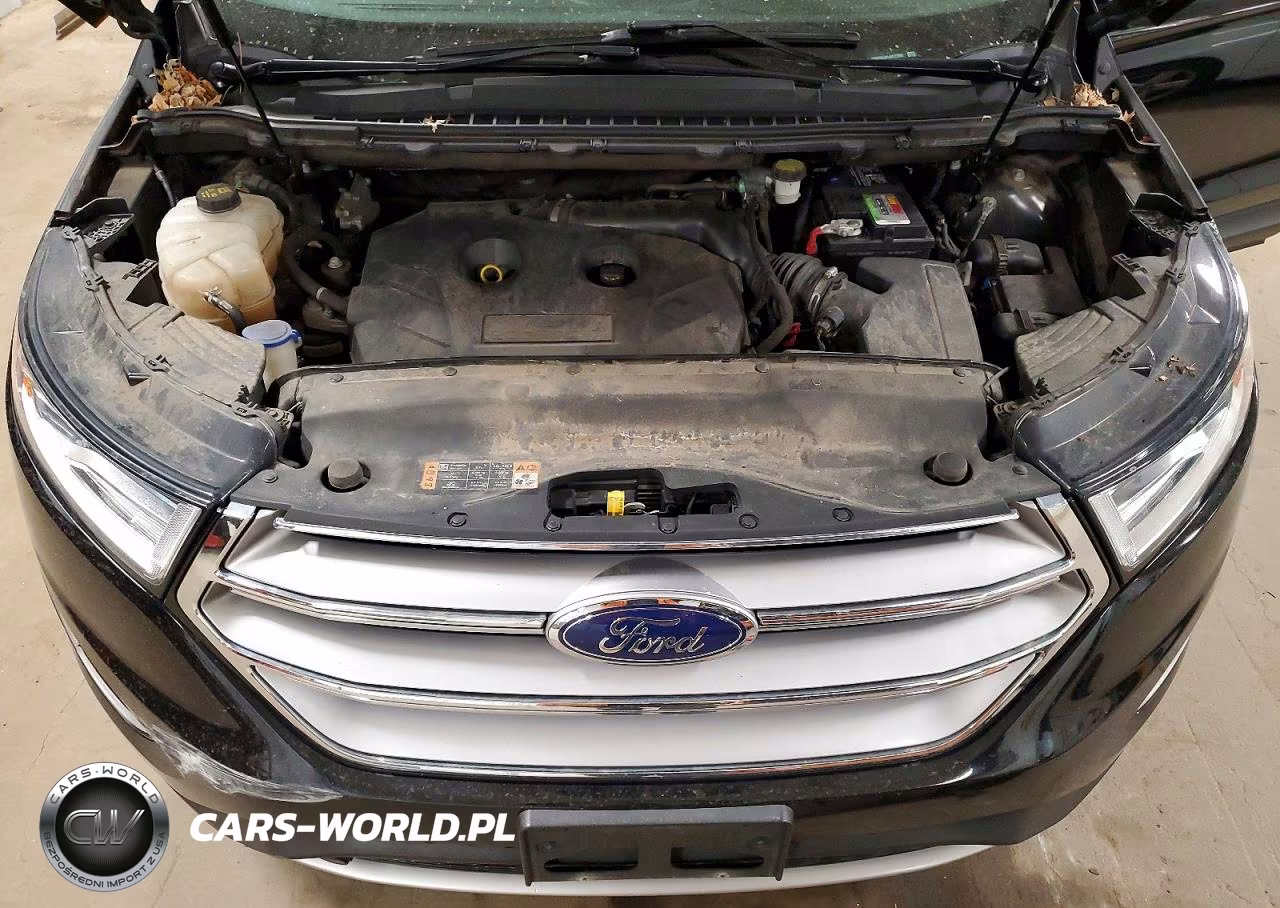 2018 Ford Edge Sel VIN:2FMPK4J91JBC27089 - 12