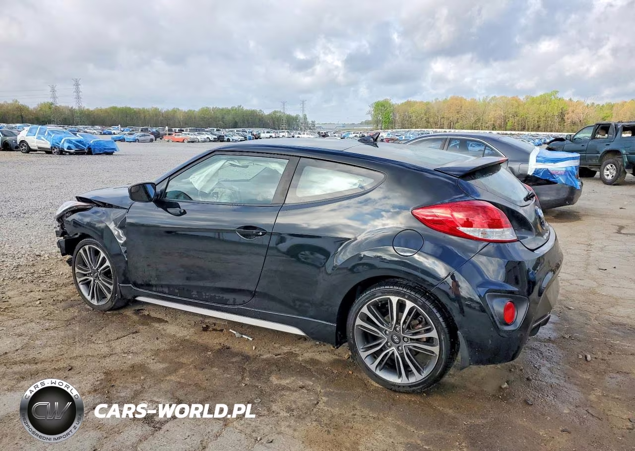 2017 Hyundai Veloster Turbo VIN:KMHTC6AE8HU309412 - 2