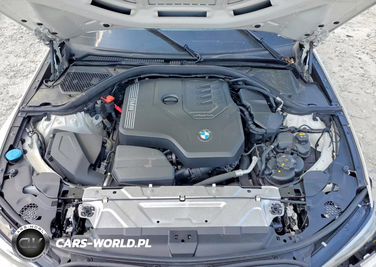 2019 BMW 330I VIN:3MW5R1J52K8B01204 - 11