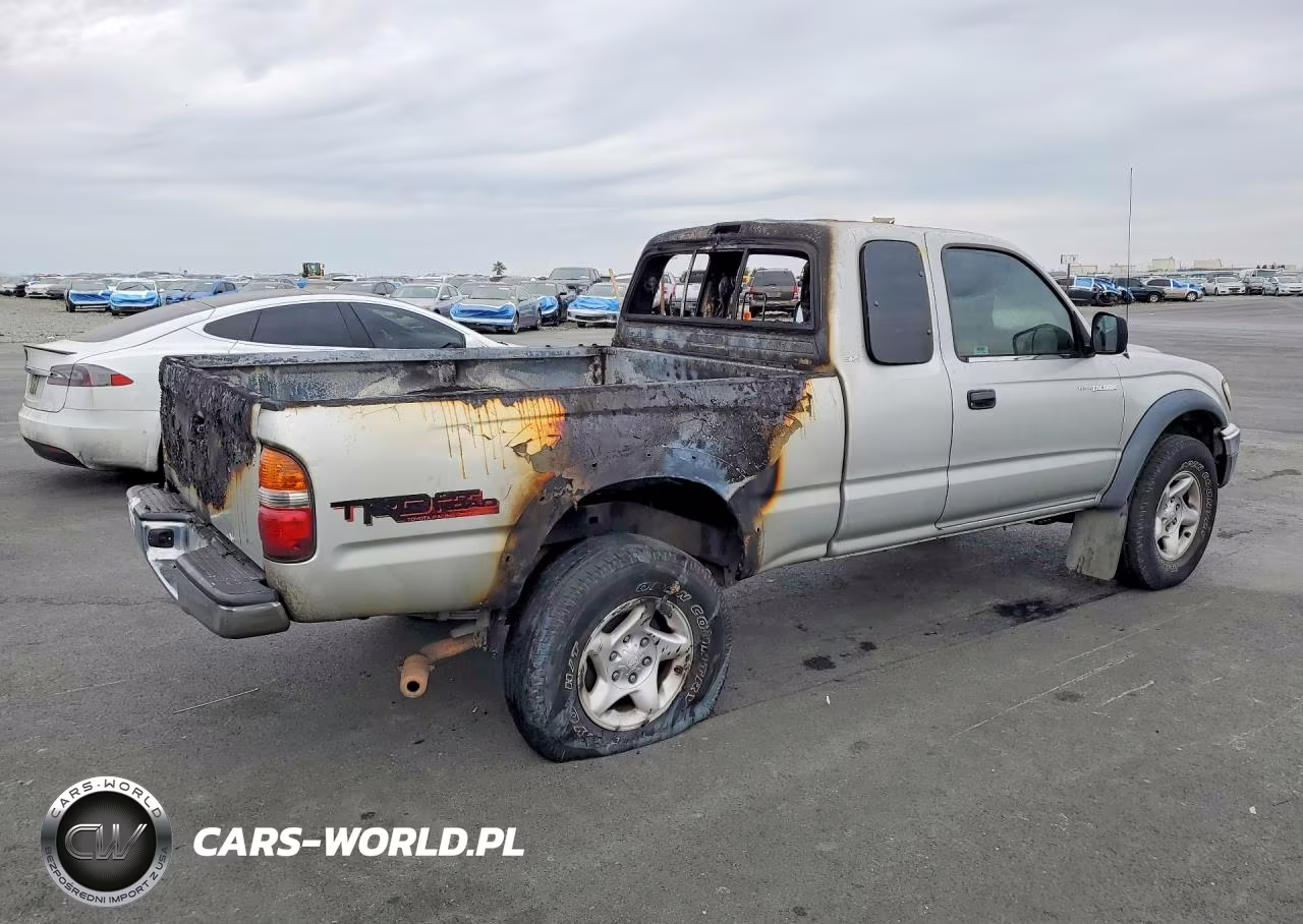 2003 Toyota Tacoma Prerunner V6 VIN:5TESN92N73Z157584 - 3