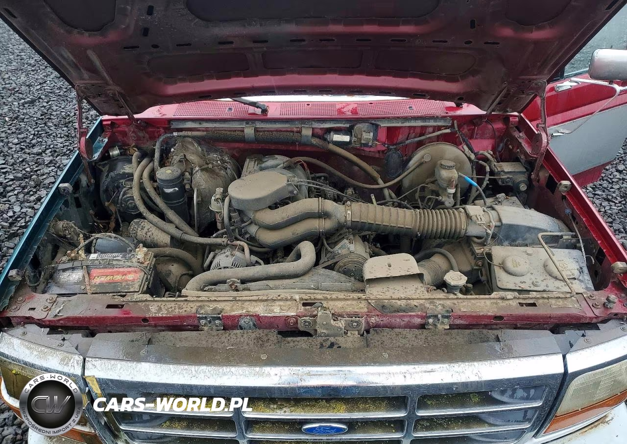 1995 Ford F150 VIN:1FTEX14N9SKC29197 - 11