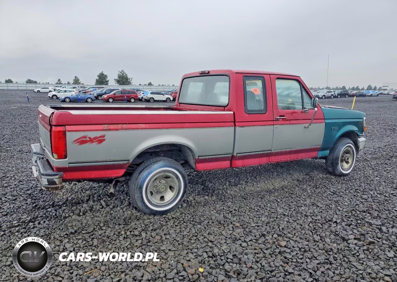 1995 Ford F150 VIN:1FTEX14N9SKC29197 - 3