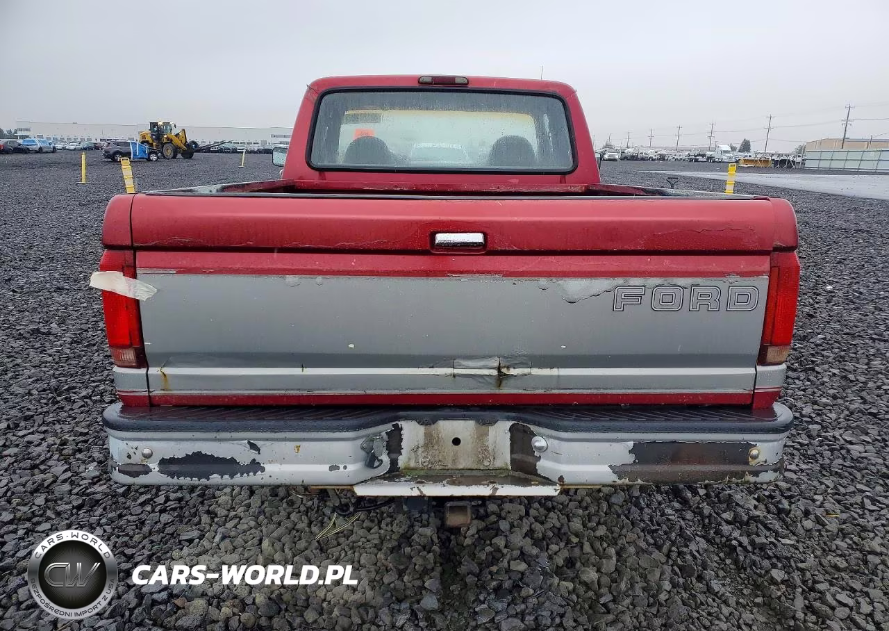 1995 Ford F150 VIN:1FTEX14N9SKC29197 - 6