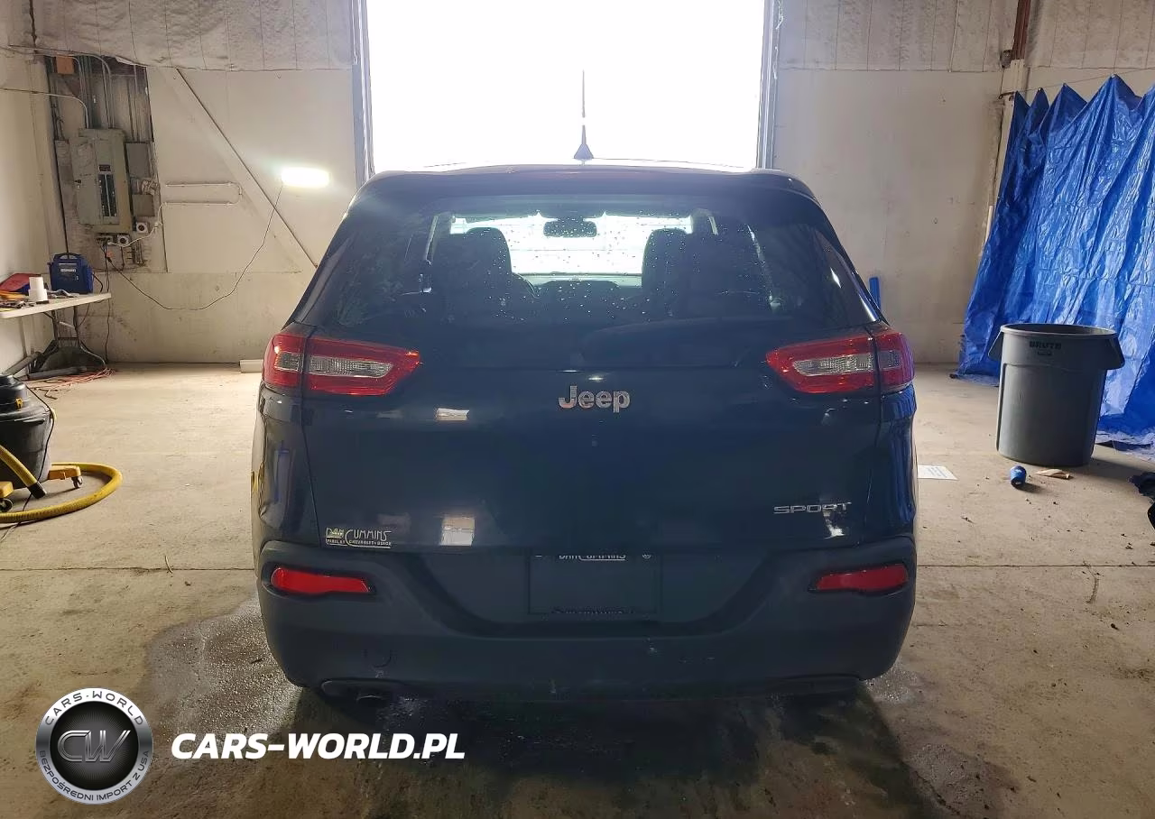 2016 Jeep Cherokee Sport VIN:1C4PJLAB6GW160470 - 6