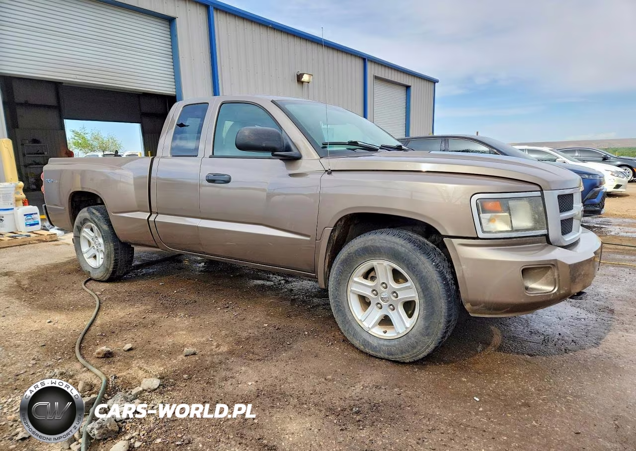 2010 Dodge Dakota Sxt VIN:1D7RW3BK3AS264217 - 4