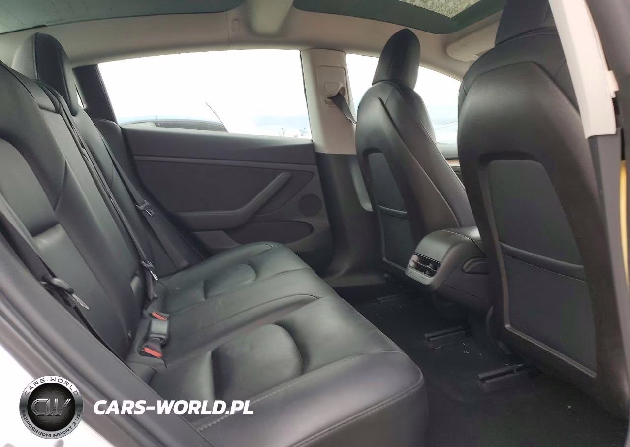 2021 Tesla Model 3 VIN:5YJ3E1EA4MF998439 - 10